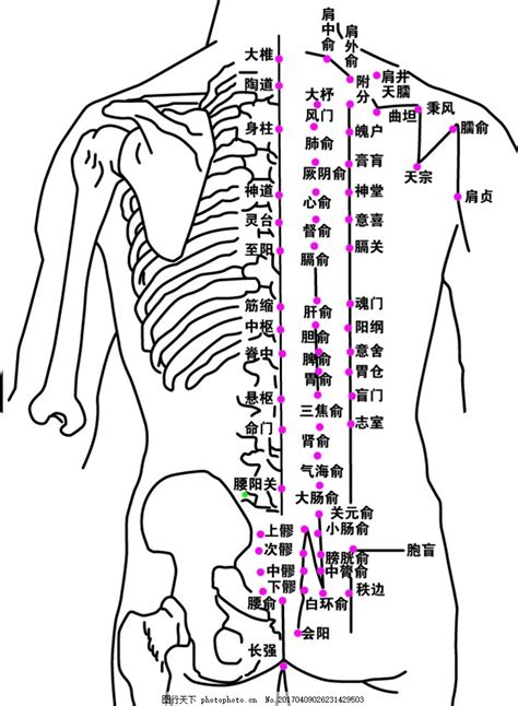 背後穴位圖